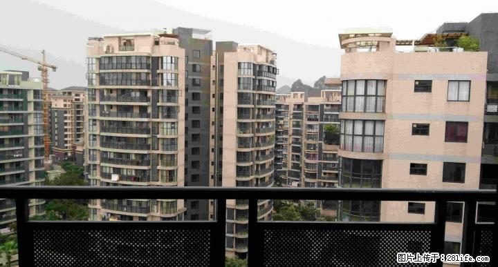 三里店 华御公馆旁 金地怡和东岸 3房2厅 精装 便宜出租 - 房屋出租 - 房屋租售 - 桂林分类信息 - 桂林28生活网 www.28life.com