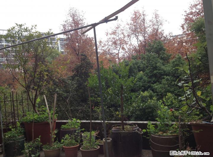 七星小区1栋二单元3楼  81平米+约20平米露台 - 房屋出售 - 房屋租售 - 桂林分类信息 - 桂林28生活网 www.28life.com