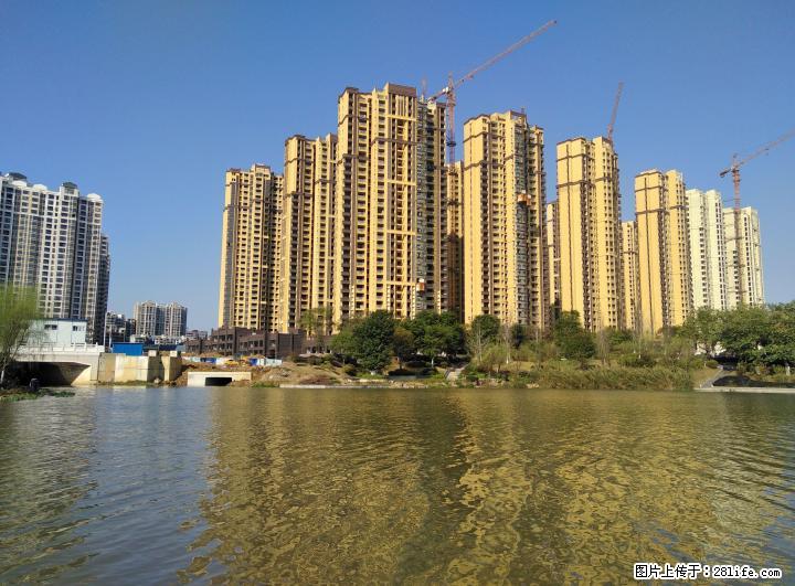 芦笛菜市旁三房两厅房屋出租（1100元） - 房屋出租 - 房屋租售 - 桂林分类信息 - 桂林28生活网 www.28life.com