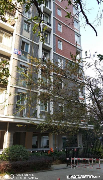 冠泰·城国隔壁的园林局小区 - 房屋出租 - 房屋租售 - 桂林分类信息 - 桂林28生活网 www.28life.com