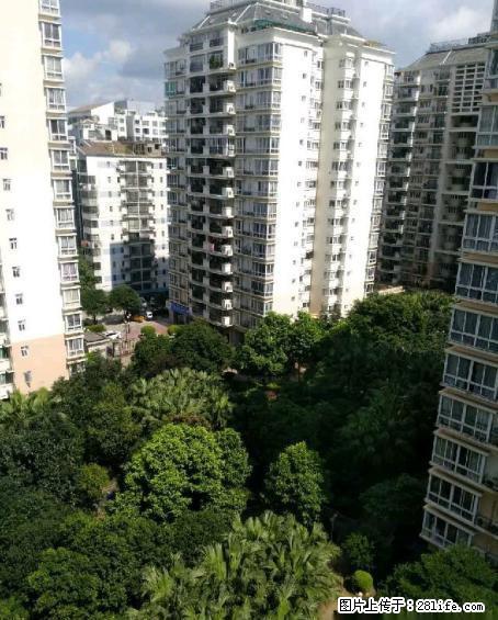 tt七星区漓江路 恒祥花园 龙隐学区 精装修送家电家具78万!! - 房屋出售 - 房屋租售 - 桂林分类信息 - 桂林28生活网 www.28life.com