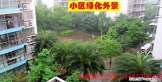 tt燕湖雅筑176平米4房复式 楼顶有露台杂物间超值！ - 桂林28生活网 www.28life.com