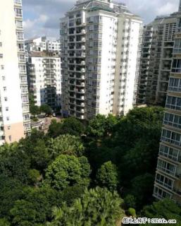 tt七星区漓江路 恒祥花园 龙隐学区 精装修送家电家具78万！！ - 桂林28生活网 www.28life.com