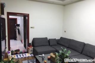 tt市中心西城步行街 【崇善学区】 白果巷 精装实用2房 50万 - 桂林28生活网 www.28life.com