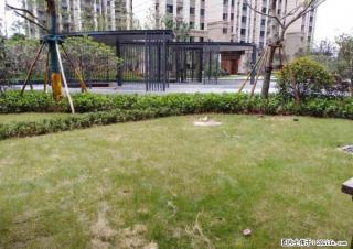 qy 高新万达城栖霞府 小区楼王1楼带前后70?大花园 大4房 仅售140万 - 桂林28生活网 www.28life.com