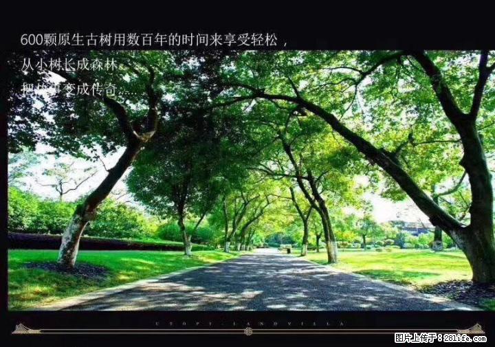 ！一线江景 信和信原乡墅，高档社区,景观好房,不可多得,稍纵即逝！ - 房屋出售 - 房屋租售 - 桂林分类信息 - 桂林28生活网 www.28life.com