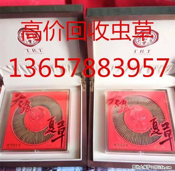 桂林市回收礼品;冬虫夏草;东阿阿胶;燕窝;5x极草含片等 - 新手上路 - 桂林生活社区 - 桂林28生活网 www.28life.com