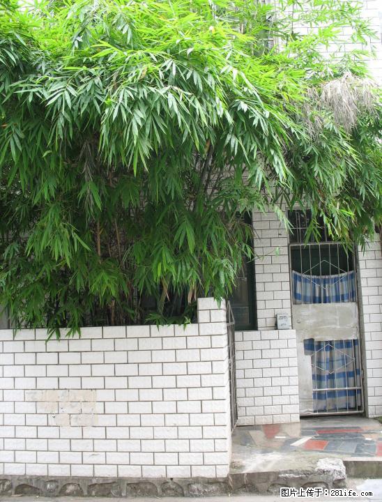 中山北路叠彩观音阁1室1厅出租 - 房屋出租 - 房屋租售 - 桂林分类信息 - 桂林28生活网 www.28life.com