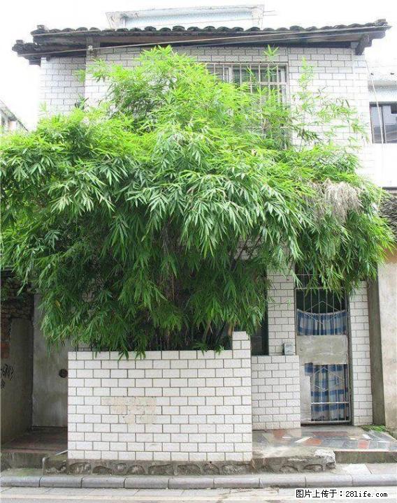 叠彩观音阁驿前街复兴里一房一厅出租 - 房屋出租 - 房屋租售 - 桂林分类信息 - 桂林28生活网 www.28life.com