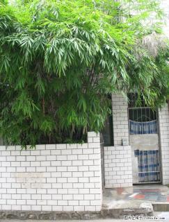 中山北路叠彩观音阁1室1厅出租 - 桂林28生活网 www.28life.com