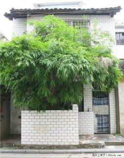 叠彩观音阁驿前街一房一厅出租 - 桂林28生活网 www.28life.com