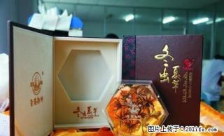 专业回收冬虫夏草13651133234燕窝回收 - 桂林28生活网 www.28life.com