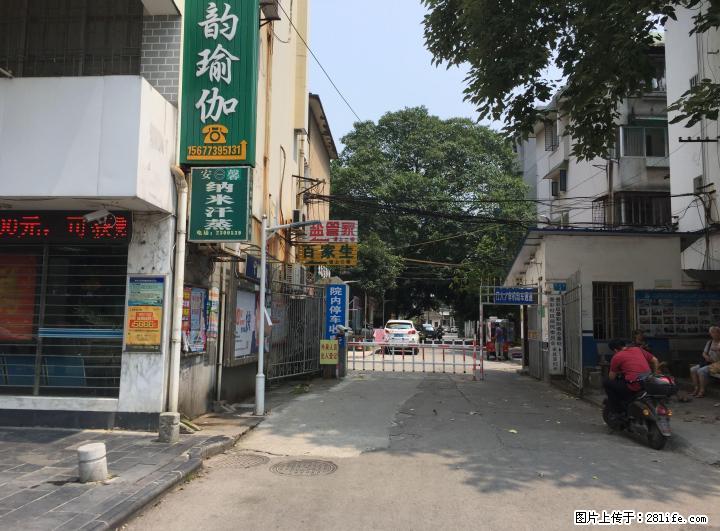 叠彩路4号大院(三房一厅)招租 - 房屋出租 - 房屋租售 - 桂林分类信息 - 桂林28生活网 www.28life.com