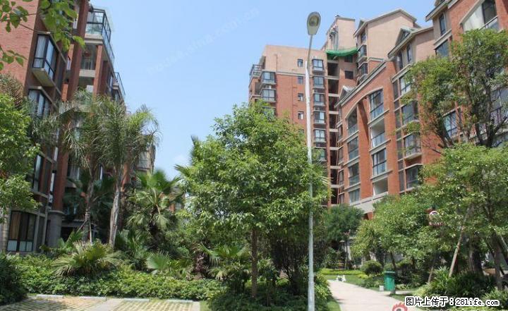 桂林广源国际小区2室1厅精装修新房出租 - 房屋出租 - 房屋租售 - 桂林分类信息 - 桂林28生活网 www.28life.com