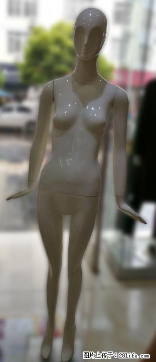 低价出售模特、衣架一批 - 其它 - 服装服饰 - 桂林分类信息 - 桂林28生活网 www.28life.com