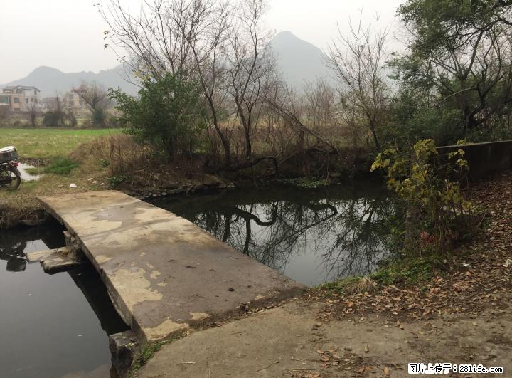 象山区二塘乡陶家村鱼塘出租 - 其它 - 房屋租售 - 桂林分类信息 - 桂林28生活网 www.28life.com