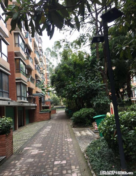 七星区澳洲假日出租拎包入住 - 房屋出租 - 房屋租售 - 桂林分类信息 - 桂林28生活网 www.28life.com