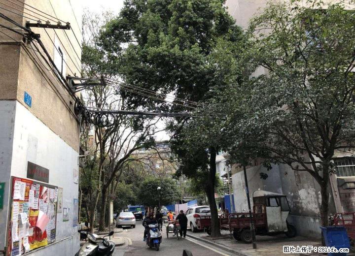 低价出售  清风小区  四楼房子； - 房屋出售 - 房屋租售 - 桂林分类信息 - 桂林28生活网 www.28life.com