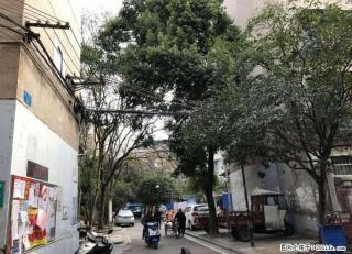 低价出售  清风小区  四楼房子； - 桂林28生活网 www.28life.com