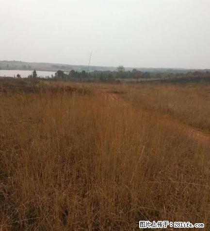 桂林附近500亩荒山土地出租 - 其它 - 房屋租售 - 桂林分类信息 - 桂林28生活网 www.28life.com