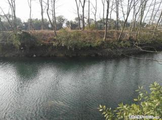 桂林市附近漓江边30亩土地出租 - 桂林28生活网 www.28life.com