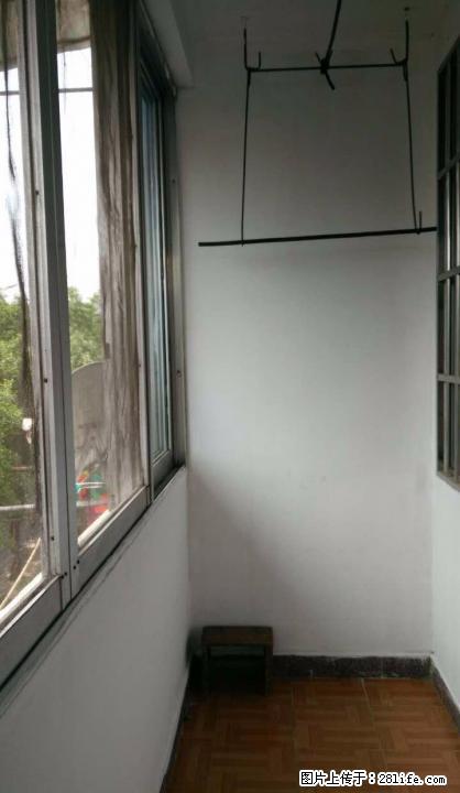 整房急租!鲁山水泥厂宿舍精装两房两厅,好房出租!快来! - 房屋出租 - 房屋租售 - 桂林分类信息 - 桂林28生活网 www.28life.com