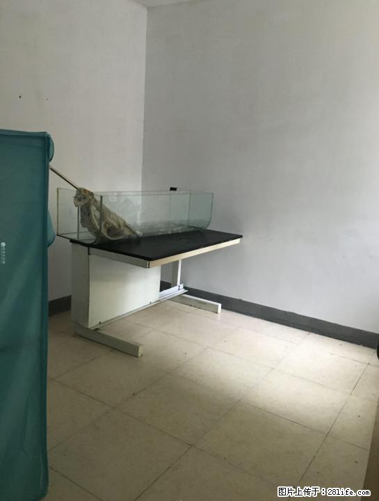 出租，教师公寓，3房1厅1卫，90平米，1楼，1500元/月 - 房屋出租 - 房屋租售 - 桂林分类信息 - 桂林28生活网 www.28life.com