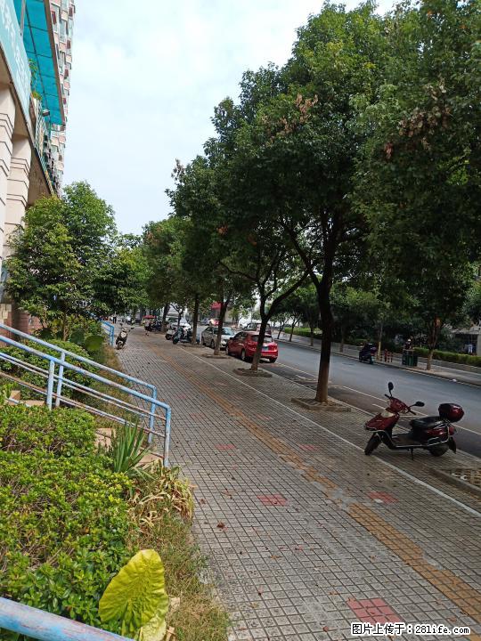 出租，毅峰路世纪新城门口，路边门面，2层280平米2万元/月 - 商铺租转 - 房屋租售 - 桂林分类信息 - 桂林28生活网 www.28life.com