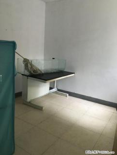 出租，教师公寓，3房1厅1卫，90平米，1楼，1500元/月 - 桂林28生活网 www.28life.com