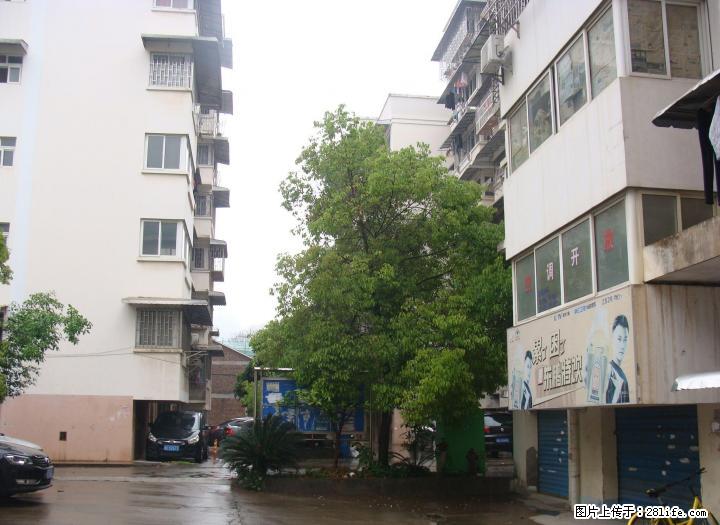 观音阁芦笛菜市附近2楼大三房一厅空房、合适住家、办公、办午托班1100/月,不议价 - 房屋出租 - 房屋租售 - 桂林分类信息 - 桂林28生活网 www.28life.com