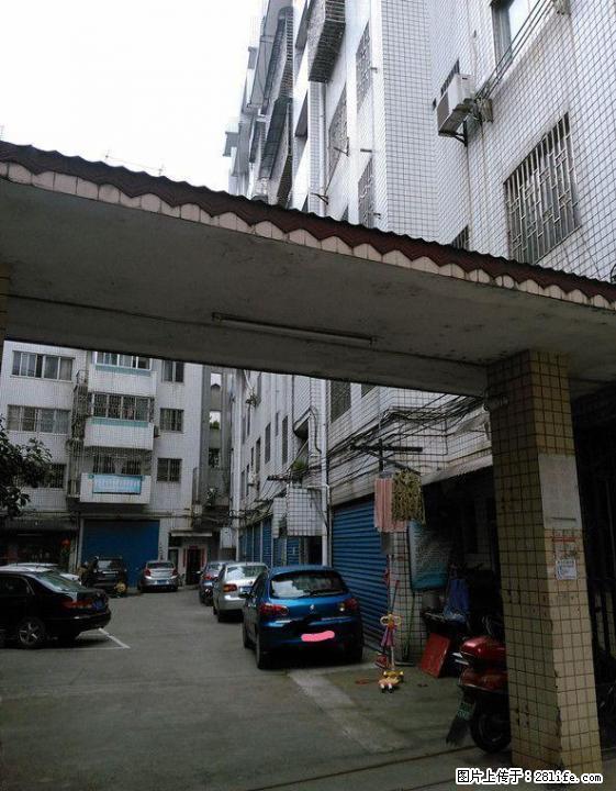 西门菜市附近铁西东安街法院宿舍三房两厅二卫3楼135平米跃层式！房子采光好，67万 - 房屋出售 - 房屋租售 - 桂林分类信息 - 桂林28生活网 www.28life.com