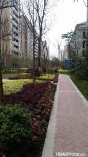 临桂区创业大厦对面花样年花样城四房二厅二卫，精装修，南北通风，视线好，户型正，家 - 桂林28生活网 www.28life.com