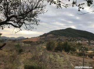 平乐沙子镇附近有缓波地50亩转让 - 桂林28生活网 www.28life.com