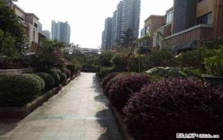 ZZ 低于市场价！ 稀缺复式 山水凤凰城 凤仪园 买1层得3层抢购89万 户型方正实用！ - 桂林28生活网 www.28life.com