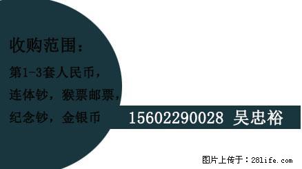 拉萨哪里有回收1盎司熊猫金银币 - 古玩 - 古玩收藏 - 桂林分类信息 - 桂林28生活网 www.28life.com