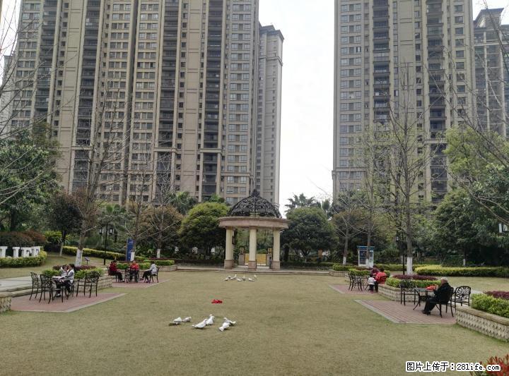 西城大道南         中心公园旁          毗邻市政府中心     地段优越 - 房屋出售 - 房屋租售 - 桂林分类信息 - 桂林28生活网 www.28life.com