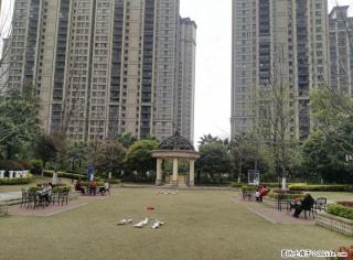 西城大道南         中心公园旁          毗邻市政府中心     地段优越 - 桂林28生活网 www.28life.com