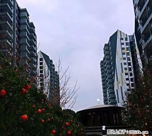 同创置业 专业代理 万达城 棠棣之华等新楼盘 好礼相送 更优惠！ - 房屋出售 - 房屋租售 - 桂林分类信息 - 桂林28生活网 www.28life.com