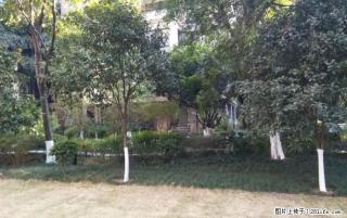 象山区南溪山小学龙船坪上海路兴进中央尊馆精装3房89万 - 桂林28生活网 www.28life.com