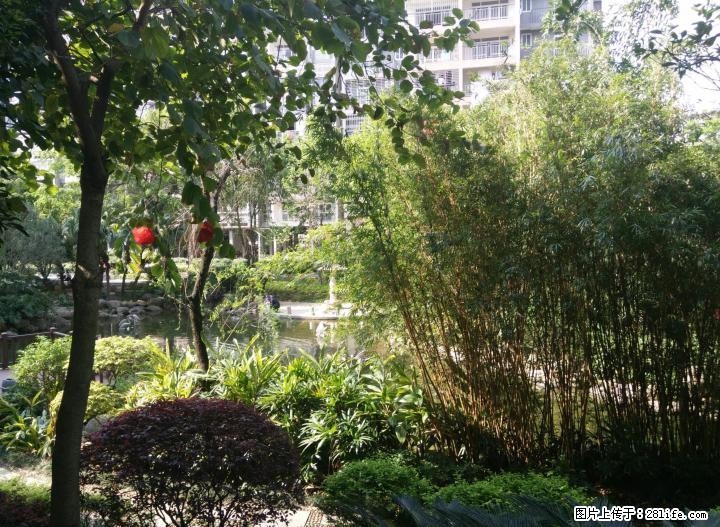 阳光叠彩中央水景边精装电梯房3房两厅1卫出租 - 房屋出租 - 房屋租售 - 桂林分类信息 - 桂林28生活网 www.28life.com