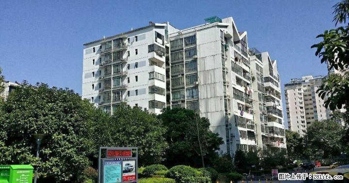 WY三里店鑫海国际4房2厅2卫160平米129万 - 房屋出售 - 房屋租售 - 桂林分类信息 - 桂林28生活网 www.28life.com