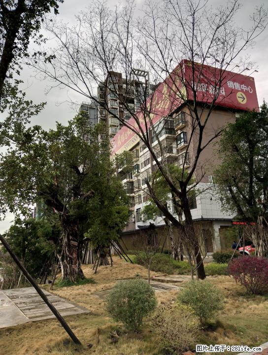 临桂福邸嘉园15栋120平米门面出售 - 商铺租转 - 房屋租售 - 桂林分类信息 - 桂林28生活网 www.28life.com