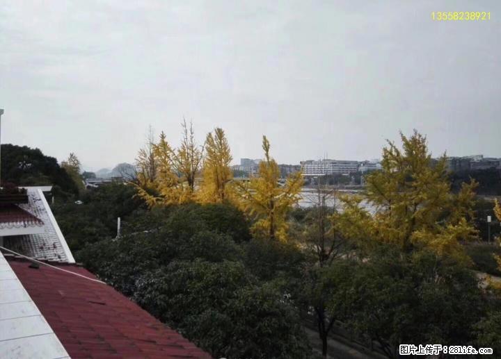 全球桂林漓江主流独栋江景别墅豪宅 - 房屋出售 - 房屋租售 - 桂林分类信息 - 桂林28生活网 www.28life.com
