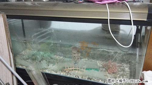 屏风式鱼缸，带储物柜，鱼缸尺寸长120CM、宽40cm、高58CM，包含储物柜总高为128CM - 各类家具 - 居家生活 - 桂林分类信息 - 桂林28生活网 www.28life.com