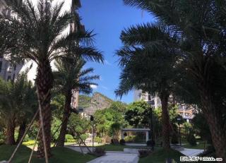 联达商圈，象山博望园精装现房，首付只需12万，返乡置业优选 - 桂林28生活网 www.28life.com