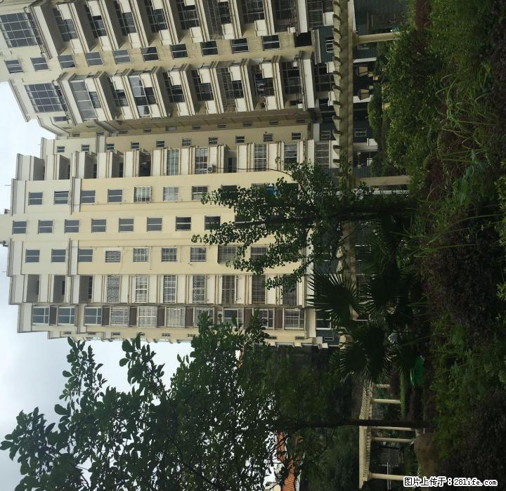 超值有匙即睇！超低价财富名城 2600元 4室2厅2卫 办公专用 - 房屋出租 - 房屋租售 - 桂林分类信息 - 桂林28生活网 www.28life.com