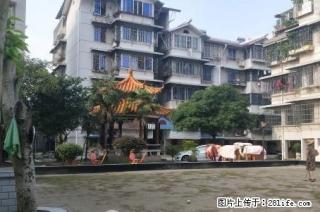 七星公园对面六合花园旁 东江干休所 垫高一楼养生之选拎包入住 - 桂林28生活网 www.28life.com