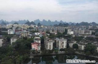 100真实急三里店 长城花园 育才本部电梯 明珠花园新天地旁 - 桂林28生活网 www.28life.com