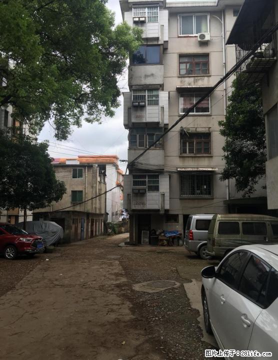 大风山宏伟集团2房1厅职工住房出租 - 房屋出租 - 房屋租售 - 桂林分类信息 - 桂林28生活网 www.28life.com