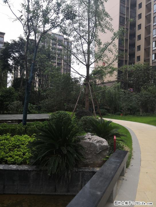 秀峰阳江路彰泰桃源居 3房2厅2卫 128平106万 清水高层 - 房屋出售 - 房屋租售 - 桂林分类信息 - 桂林28生活网 www.28life.com